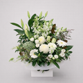 Sympathy_20